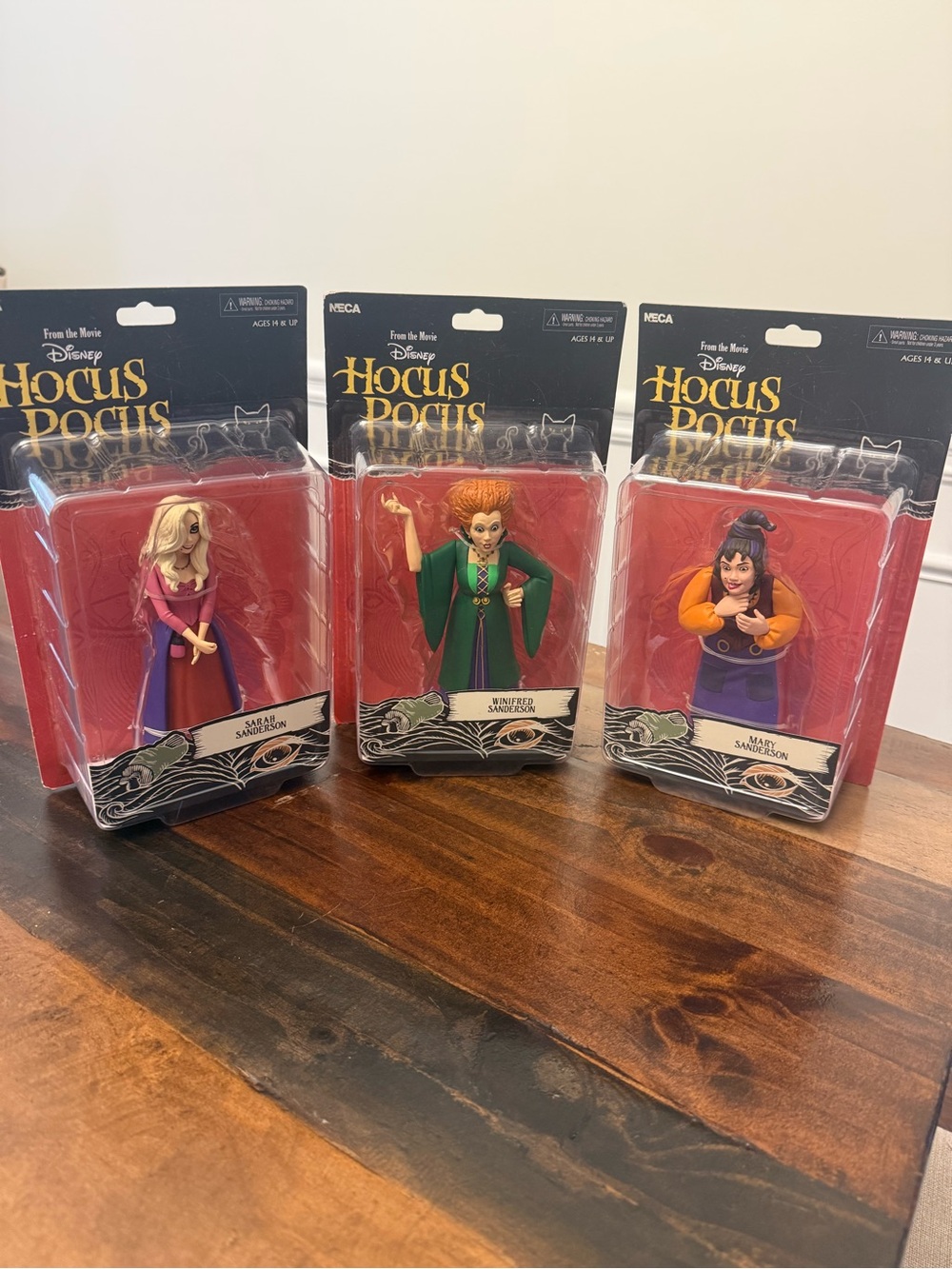 NECA Hocus Pocus Toony Terrors 6" Sanderson Sisters Set Winifred Mary Sarah NIB
